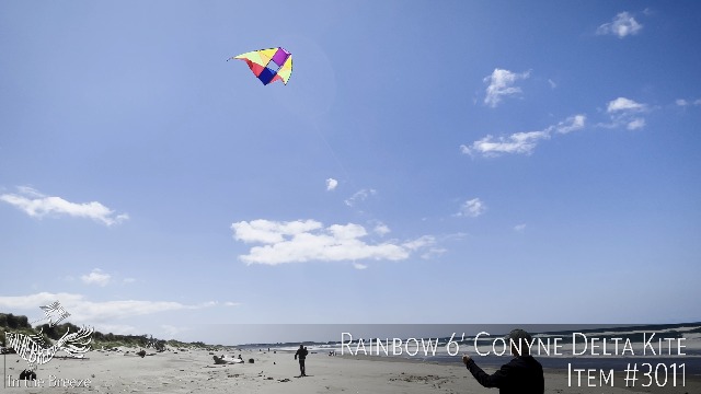 Amazon.com: In the Breeze 3011 — Rainbow Conyne Delta Kite — 6